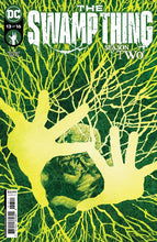 Load image into Gallery viewer, Swamp Thing 13
