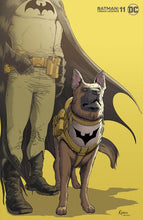 Load image into Gallery viewer, Batman: Urban Legends 11
