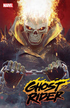 Load image into Gallery viewer, Ghost Rider 12
