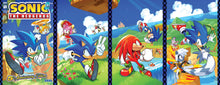 Load image into Gallery viewer, Sonic The Hedgehog: 5th Anniversary Edition 1

