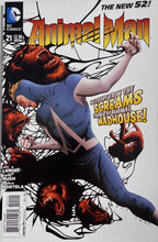 Load image into Gallery viewer, Animal Man 21
