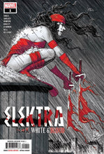Load image into Gallery viewer, Elektra: Black, White, &amp; Blood 1
